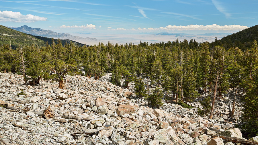 321_NE_Great_Basin_National_Park_resize