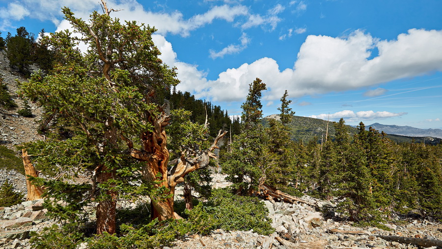 324_NE_Great_Basin_National_Park_resize