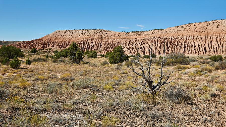 411_NE_Cathedral_Gorge_State_Park_resize