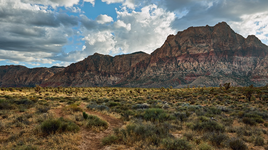 563_NE_Red_Rock_Canyon_resize