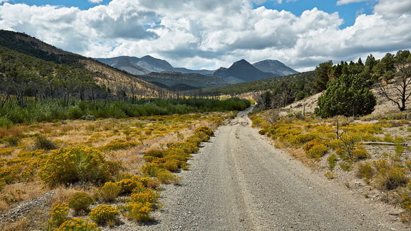 342_NE_Great_Basin_National_Park_resize