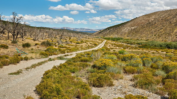 343_NE_Great_Basin_National_Park_resize