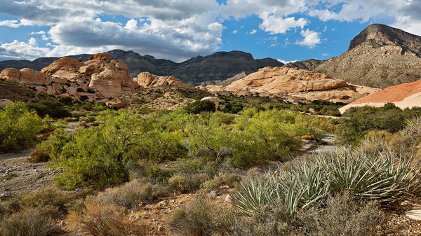 565_NE_Red_Rock_Canyon_resize