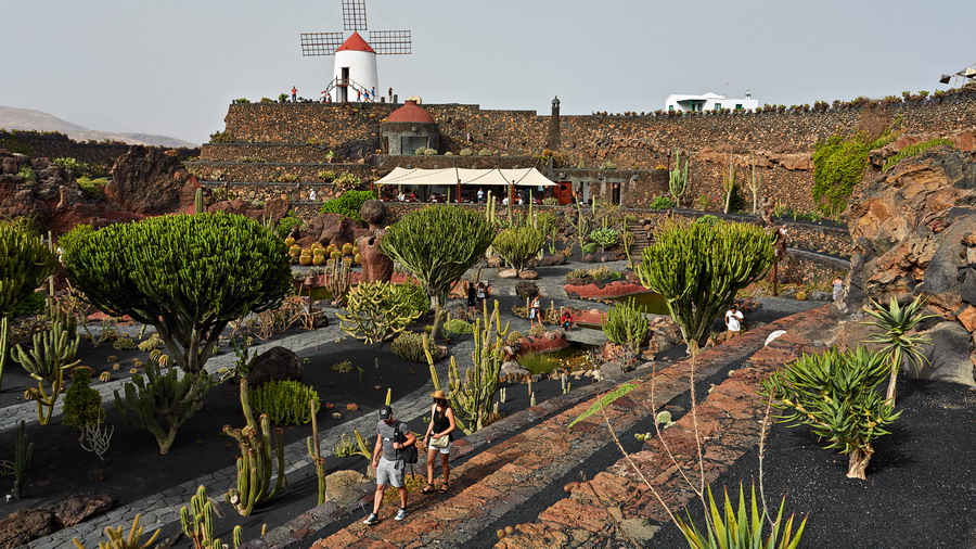 081_307_Jardin_de_Cactus_resize