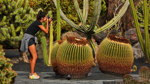 084_339_Jardin_de_Cactus_resize