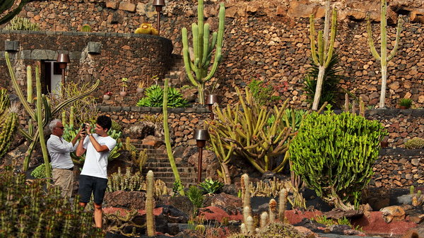 085_340_Jardin_de_Cactus_resize