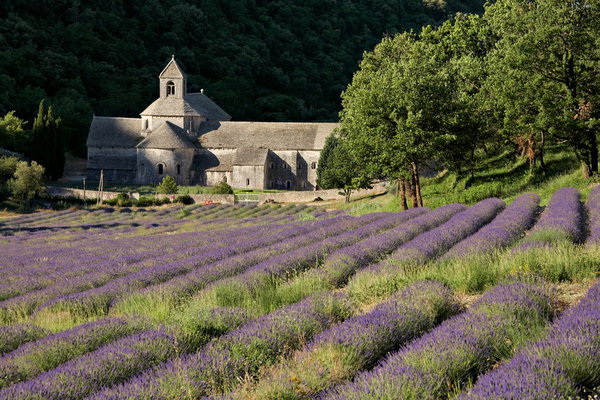 002_002_Abbey_de_Senanque_resize