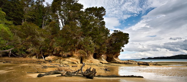 459_Abel_Tasman_resize