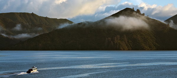 470_Queen_Charlotte_Sound_resize