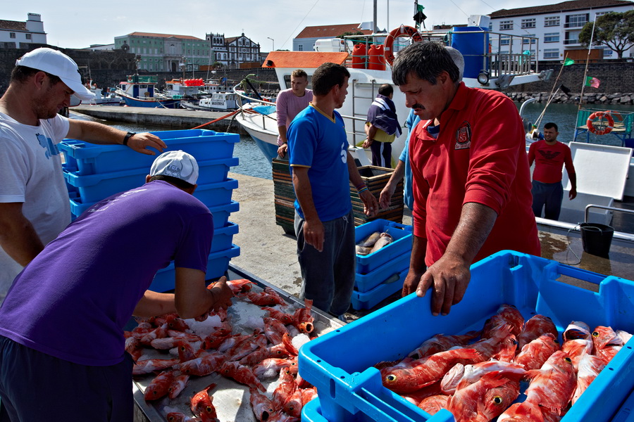 014_Ponta_Delgada