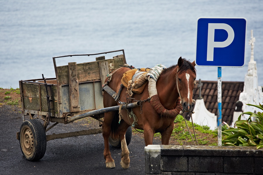 041_Horse_Parking