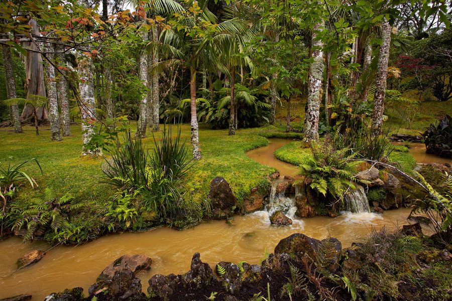 079_Furnas_Terra_Nostra_Gardens