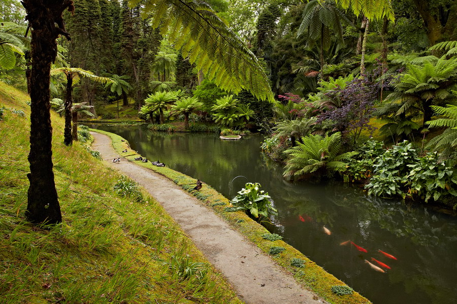 082_Furnas_Terra_Nostra_Gardens