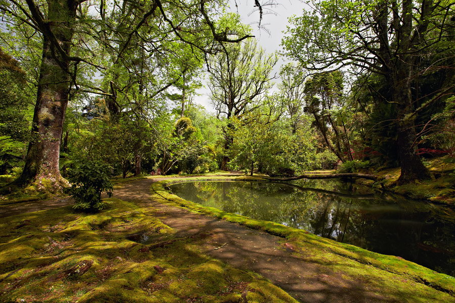 083_Furnas_Terra_Nostra_Gardens