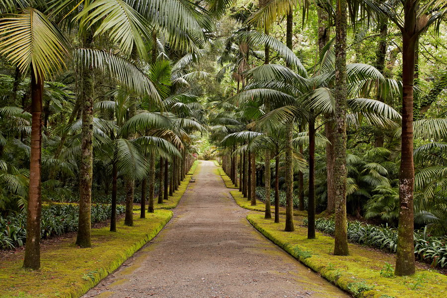 086_Furnas_Terra_Nostra_Gardens