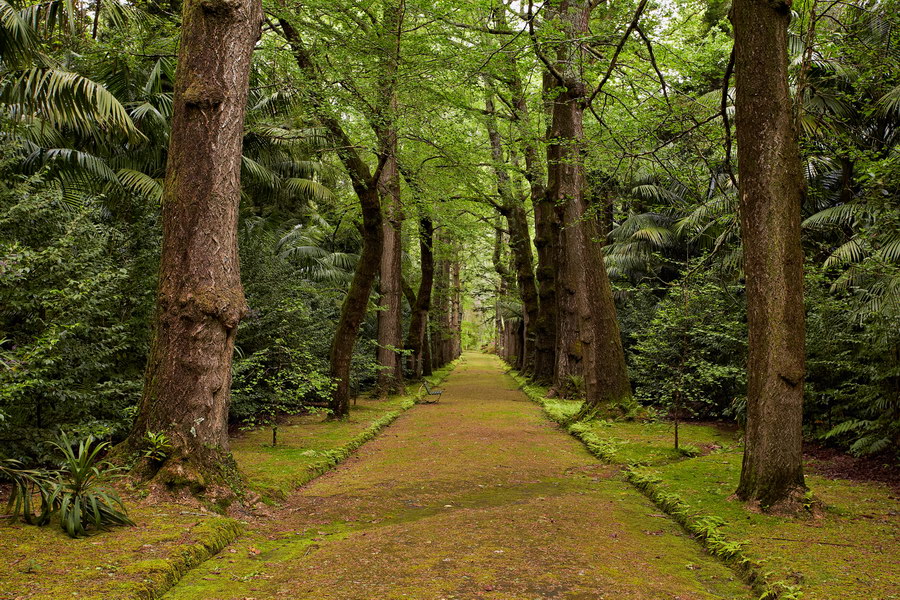 087_Furnas_Terra_Nostra_Gardens