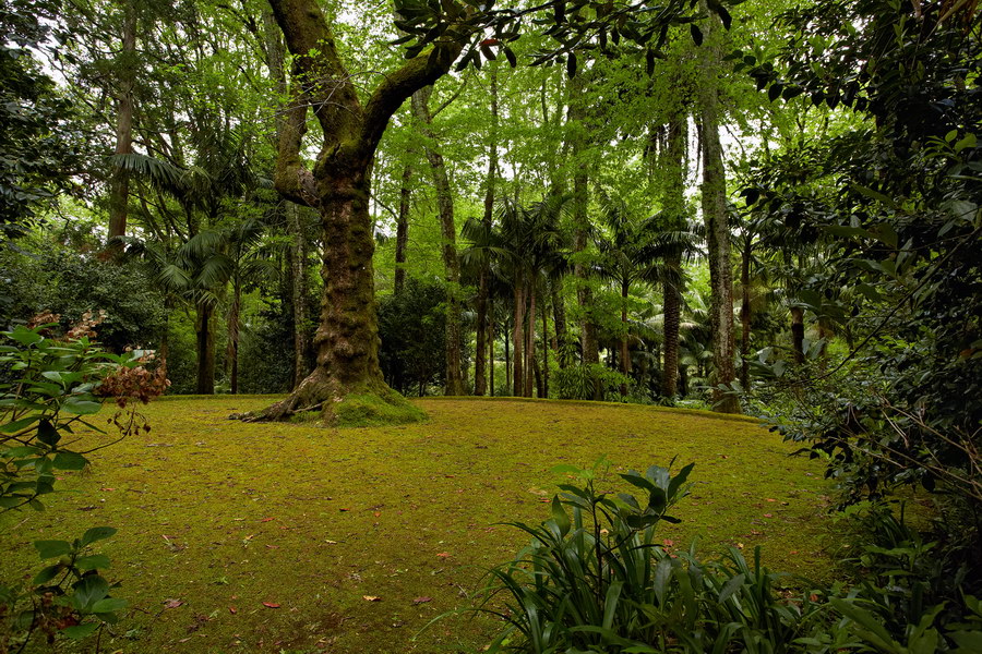 089_Furnas_Terra_Nostra_Gardens