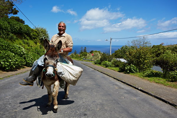 040_Working_Man_On_Donkey