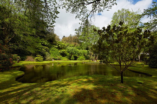 085_Furnas_Terra_Nostra_Gardens