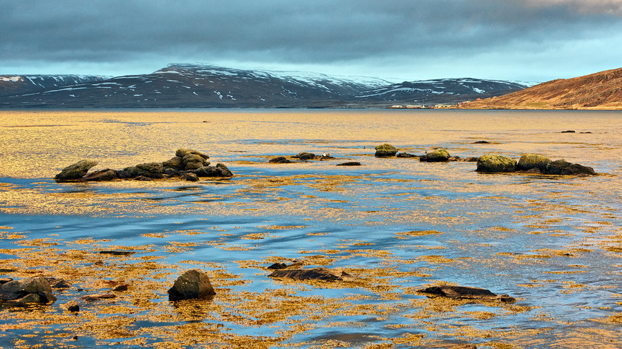 066_290_Steingrimsfjordur_resize