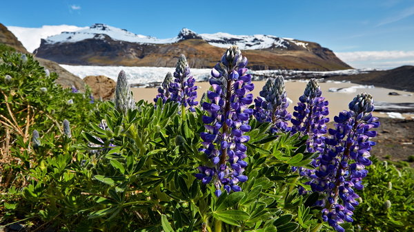 027_165_Svinafellsjokull_resize