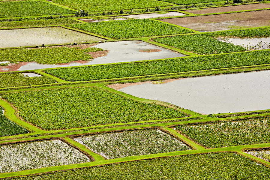 02-023_Kauai