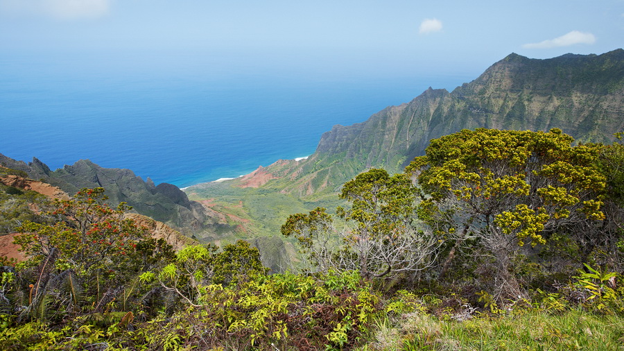 02-028_Kauai