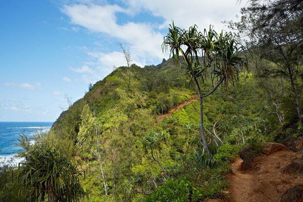 02-001_Kauai