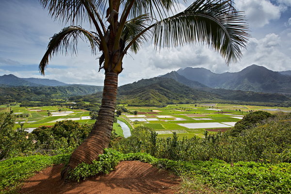 02-022_Kauai