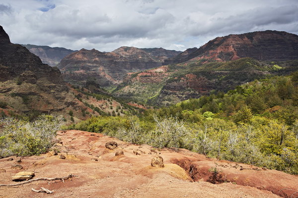 02-036_Kauai