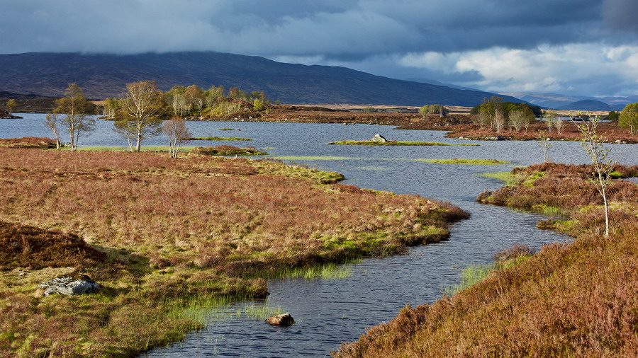 012_115_Rannoch_Moor_resize