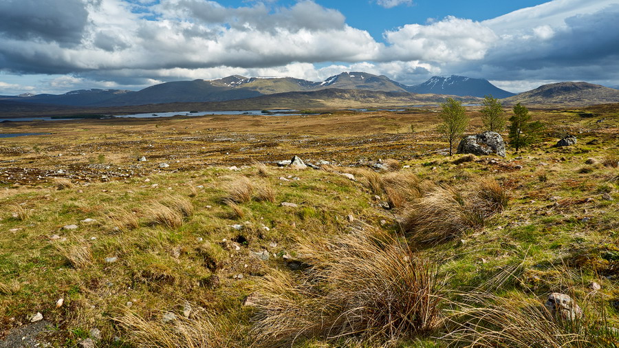 013_111_Rannoch_Moor_resize