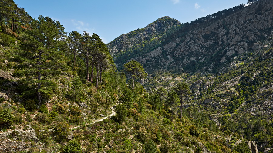 029-122_Gorges_de_Tavignano_resize