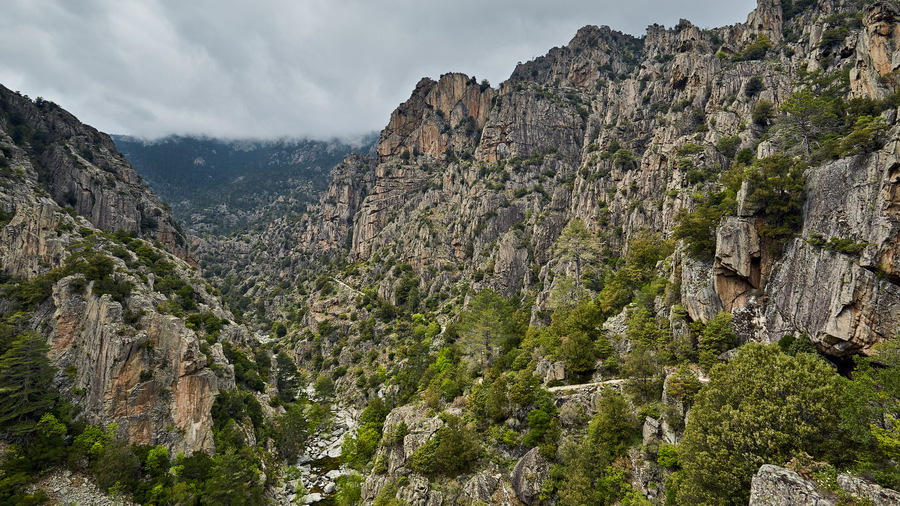 031-125_Gorges_de_Tavignano_resize