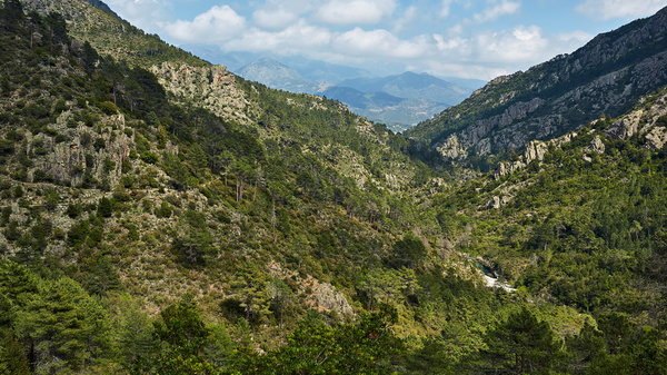 030-124_Gorges_de_Tavignano_resize