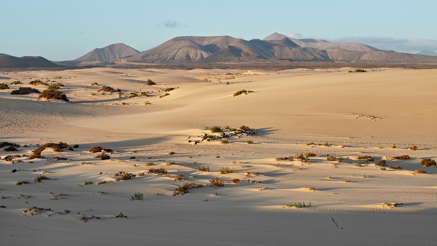 014_1011_Parque_Natural_de_Corralejo_resize