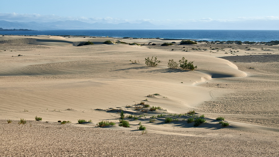 018_1120_Parque_Natural_de_Corralejo_resize