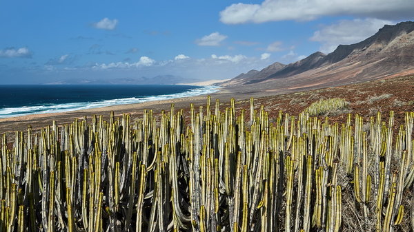 063_1337_Playa_de_Cofete_resize