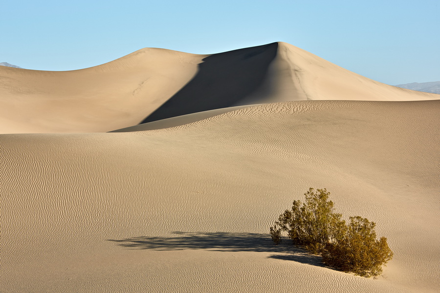 398_Death_Valley_Mesquite_Flat_Sand_Dunes_resize