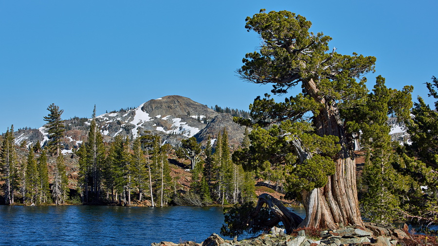 568_Desolation_Wilderness_resize