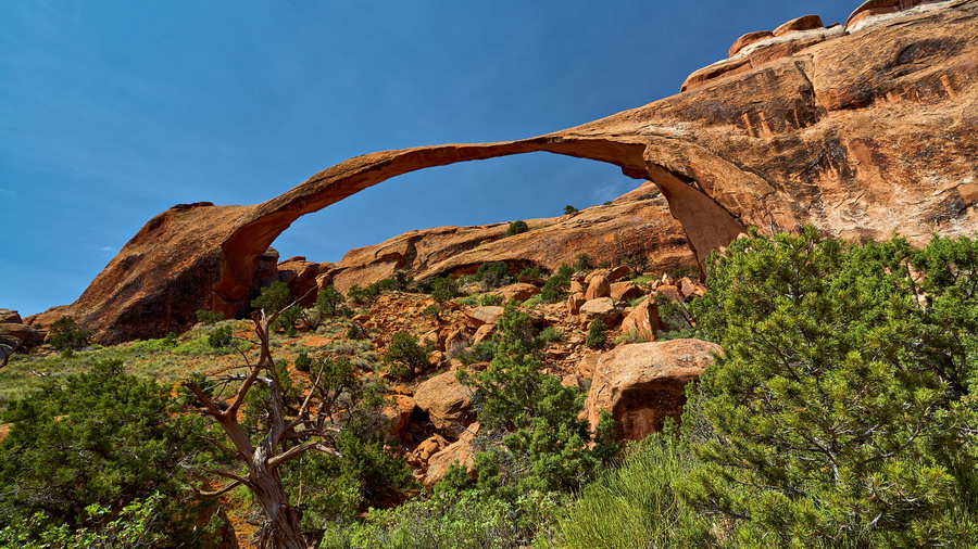 Arches_IMG_9016_resize