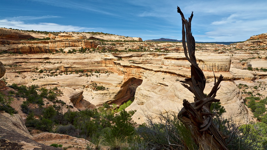 Natural-Bridges_IMG_8441_resize