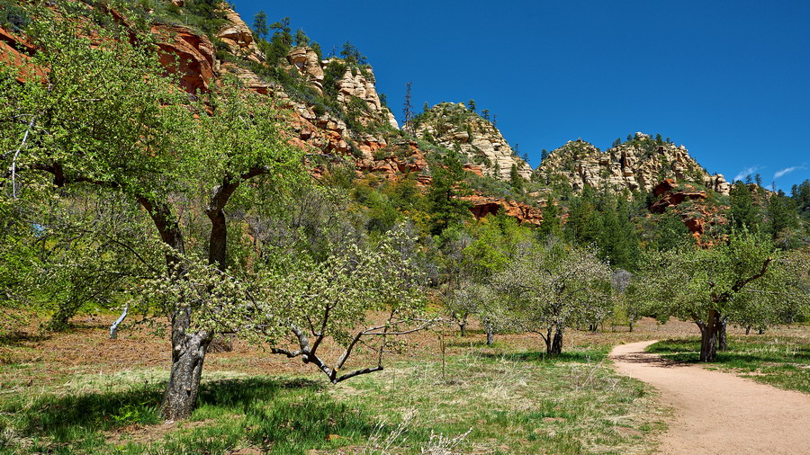 Sedona_IMG_7065_resize