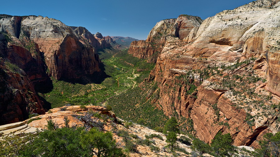 Zion_IMG_0097_resize