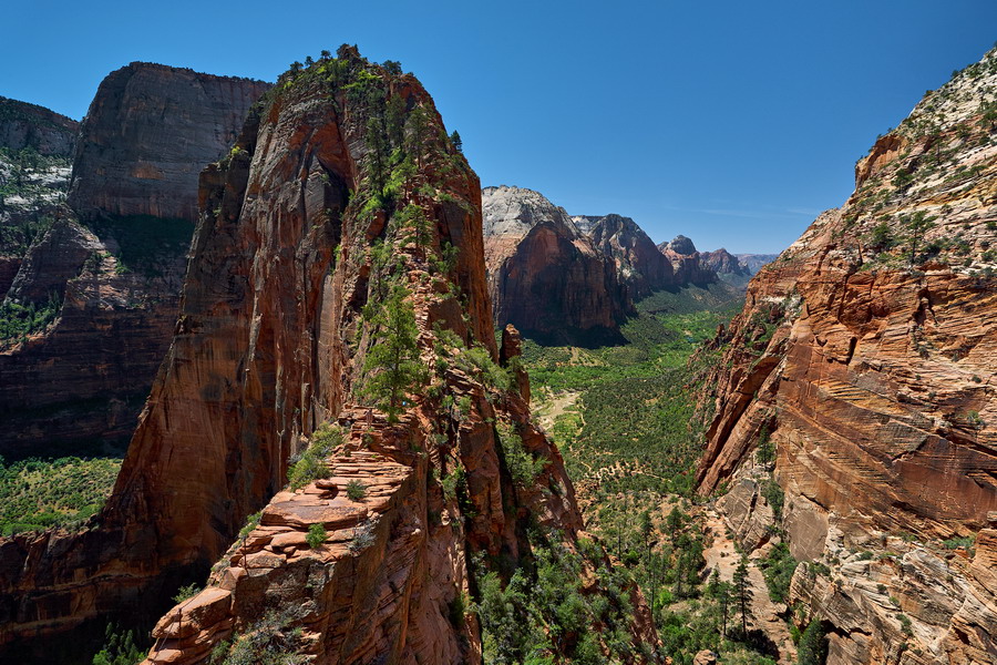 Zion_IMG_0120_resize