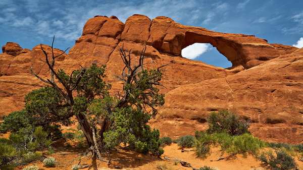 Arches_IMG_9095_resize