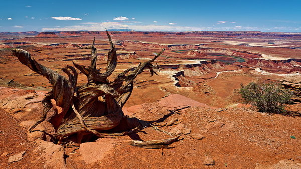 Canyonlands_IMG_8823_resize