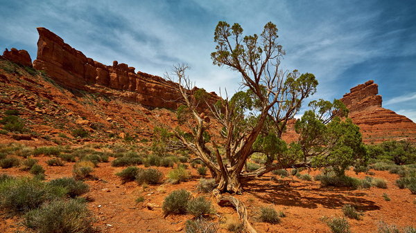 Monument-Valley_IMG_8381_resize