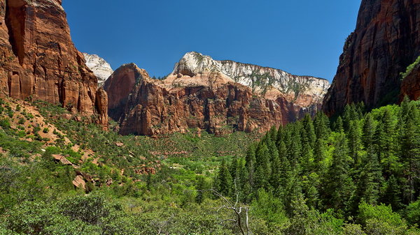 Zion_IMG_0181_resize