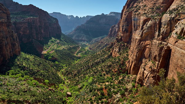 Zion_IMG_0228_resize